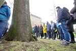 Die Themen der Exkursion waren interessante (Stadt-)Baumarten, Fragen der Verkehrssicherungspflicht, Eingehende Untersuchungen, Regenwassernutzung für Stadtbäume und Aktuelles aus der Baumpflege.