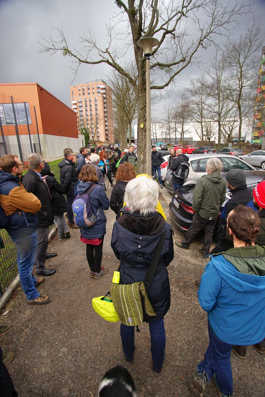 Die Themen der Exkursion waren interessante (Stadt-)Baumarten, Fragen der Verkehrssicherungspflicht, Eingehende Untersuchungen, Regenwassernutzung für Stadtbäume und Aktuelles aus der Baumpflege.