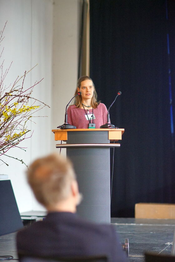 Frau Renner setzte mit einem Alleekonzept für den Landkreis Meißen fort.