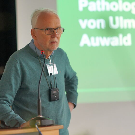 Die Ulmen sind seine Lebensaufgabe: Dr. Gordon Mackenthun referierte über Genetik und Pathologie der Gattung.