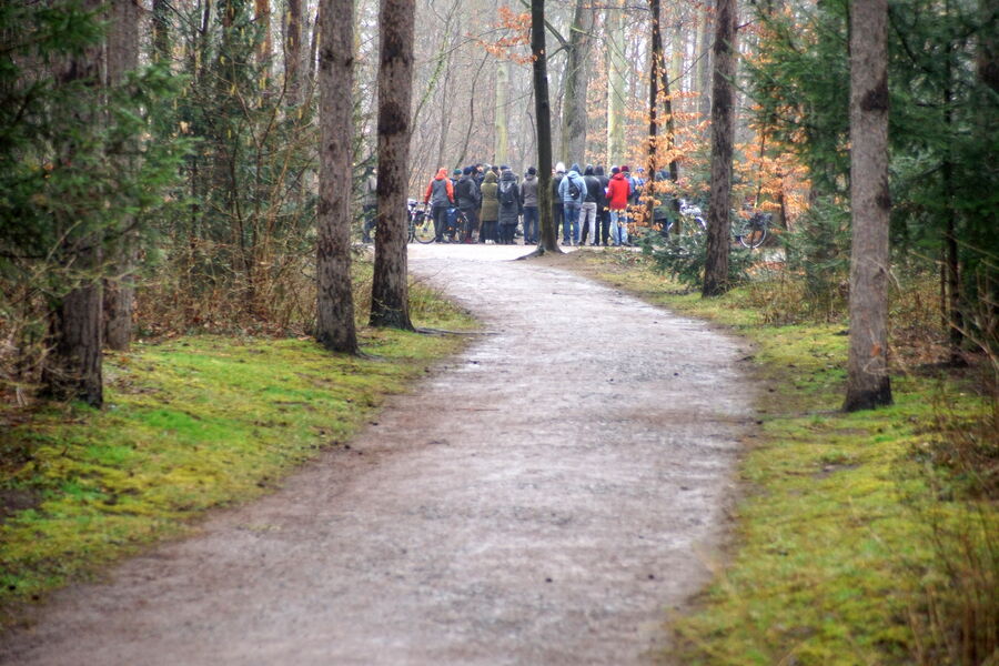 Im Waldpark Dresden warteten zahlreiche weitere Exkursionspunkte.