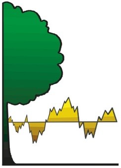 Logo DeBI